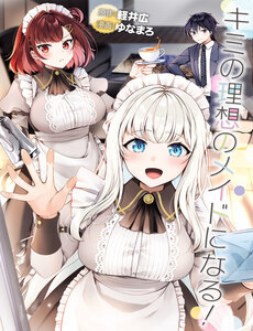 Kimi No Risou No Maid Ni Naru!